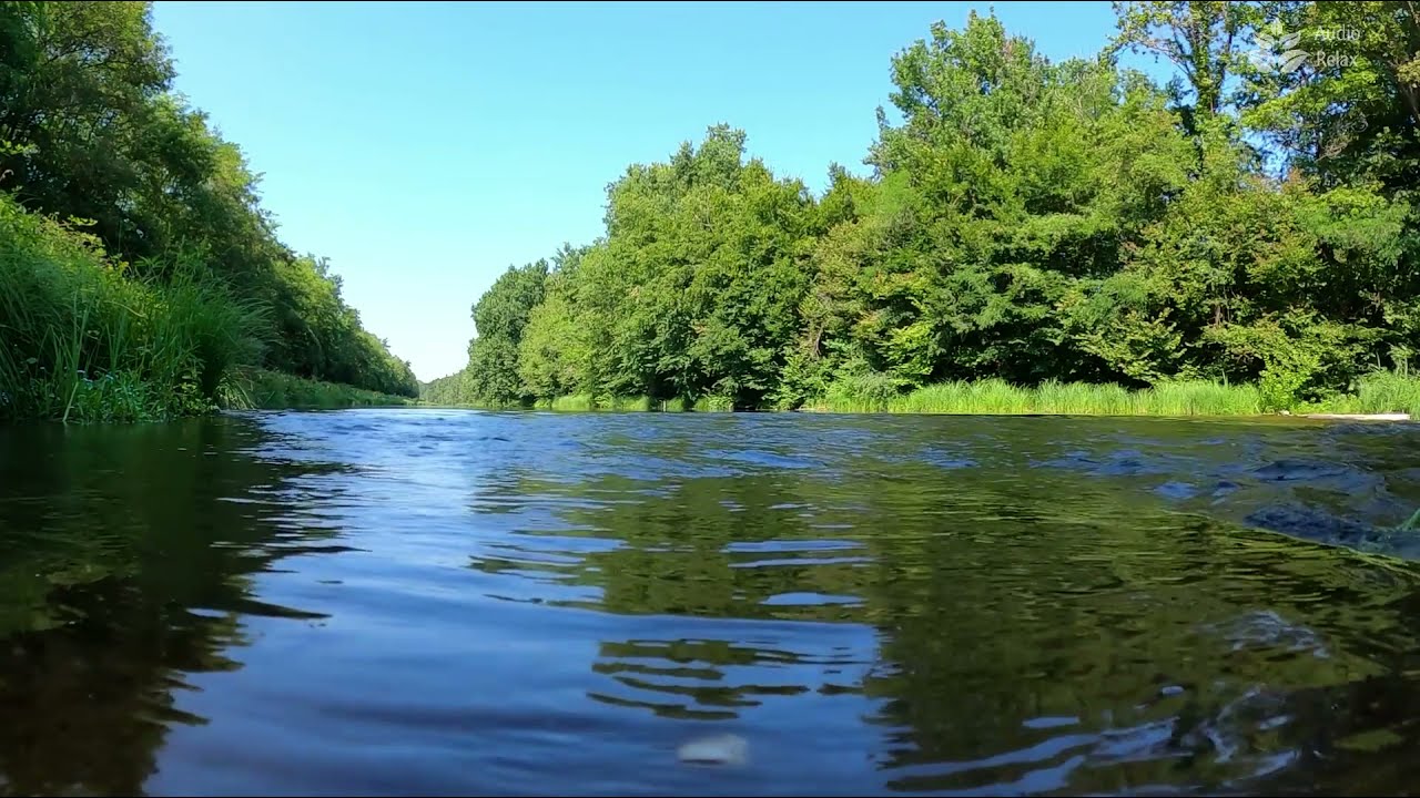Calming White Noise of Forest River Flowing. 10 hours [Audio Relax ...