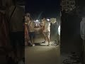Βόλτα στο λιμάνι της Αίγινας