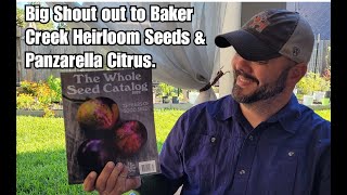 Big Shout Out to Baker Creek Heirloom Seeds Panzarella Citrus Down-Home Backyard Gardening