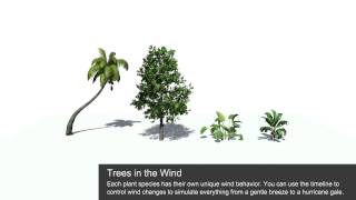 iClone 6 Functional Project - Trees in the Wind