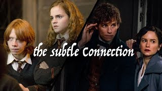 The Subtle Connection between Ron and Hermione & Newt and Tina