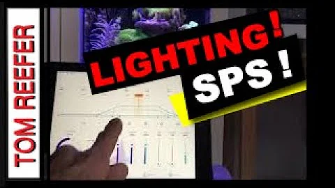 Mastering SPS Lighting: Boost Your Nano Reef Tank's Growth!