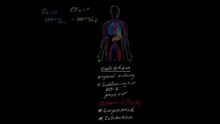 HLR fysiologi02 - Ventilation