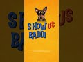 Bad Doggies | Show Us Your Baddies