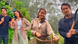 Organic Farming with an Israeli Girl ❤️| in Sikkim, Pelling