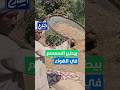 الشارع بيطير في الهواء أغرب طريقة لطق محصول السمسم وتنظيفه وسط الزراعات بقنا والسر في العصا