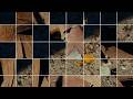Touché Amoré - "Water Damage (Demo)" (Full Album Stream)