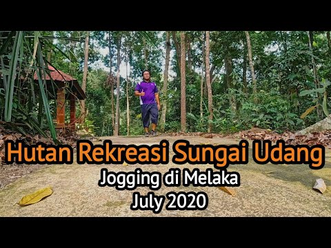 Hutan Rekreasi Sungai Udang | Jogging dalam Hutan | Melaka 2021