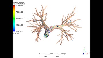 ANSYS Particle Simulation for Lower Airway Geometry