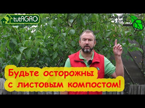 КОМПОСТ ИЗ ЛИСТЬЕВ... ДАЖЕ ОРЕХА! Что добавить к листьям, чтобы получить ценное удобрение.