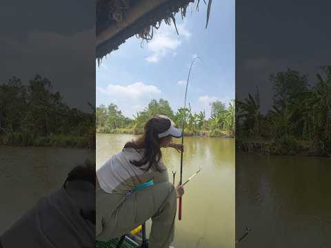 Đi câu cá p5 #cauca #fishing #câucá #caucagiaitri