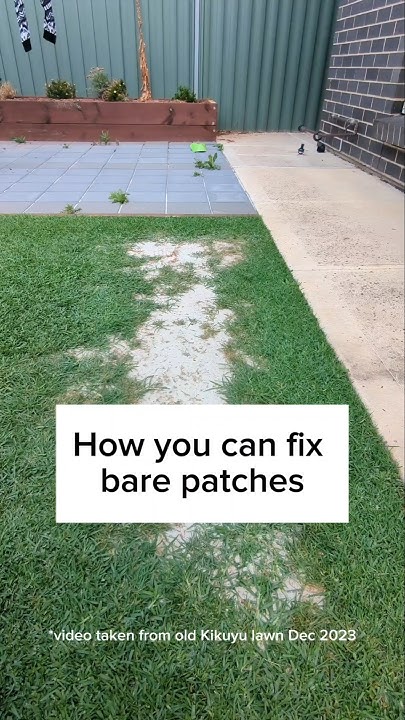 how-you-can-fix-bare-patches-in-your-lawn-youtube
