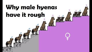 Information Kevin Samuels: Hyenas & The Black Community Guide