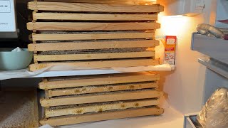 September maintenance, pulling honey supers,varroa treatment, tips & tricks~how to start beekeeping