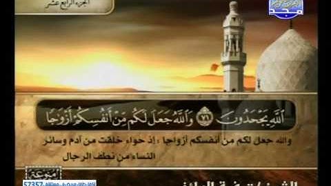 سورة النحل 51 الى 89 ـــ توفيق الصائغ