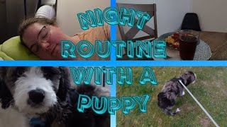 NIGHT ROUTINE WITH MY PUPPY | feeding, playing with puppy, and sleeping
