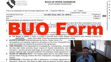 Back-Up Offer Addendum - Why I DO NOT Recommend This Form