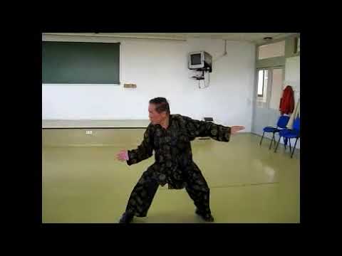 Mother Palm 2 of Baguazhang -- Double Changing Palm