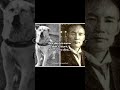 The sad story of Hachiko #history #shorts #animals #dog #truestory