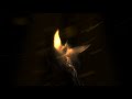 ID 019 Bird Eagle Logo Animation Intro 