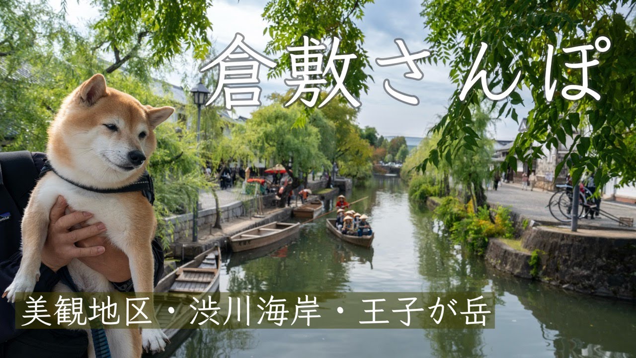 【犬とお出かけvlog】倉敷エリアを日帰り観光｜美観地区・渋川海岸・マリン水族館・王子が岳（岡山）