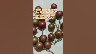 Eraser of sins👸 #quotes #advice #reminder #motivation #self-motivation #Quran #advice #videos