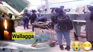 Oduu- Rifachisa Wallagga Sene Jira Dhibeen Sun Mucati Beruut Irraa Galten Kan Qabamte Fide Umata.