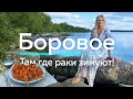 БУРАБАЙ/БОРОВОЕ - Там, где РАКИ зимуют!/Life is Food с Еленой Кукеле