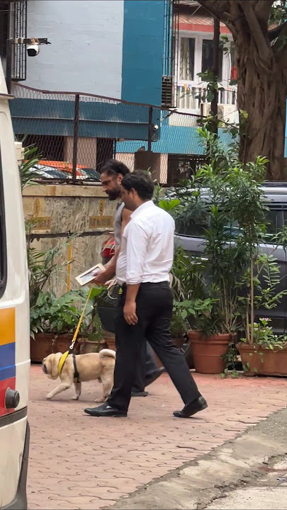 Shefali Jariwala death | Husband Parag Tyagi seen with his dog
