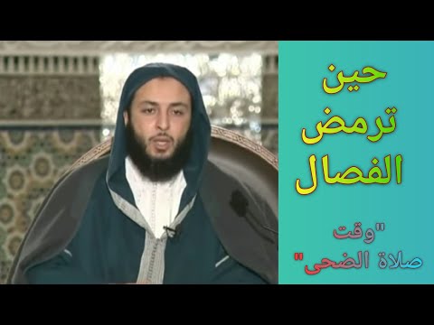 حين ترمض الفصال وقت صلاة الضحى الشيخ سعيد الكملي
