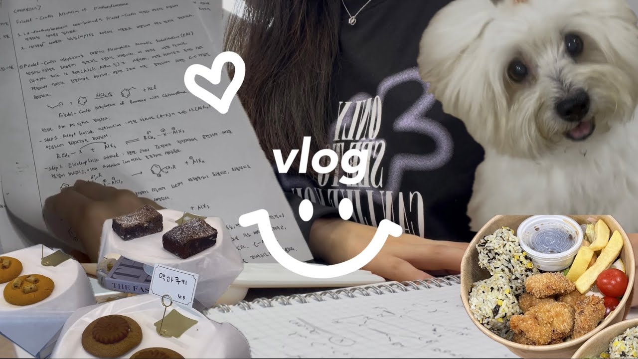 편입생 vlogㅣ내가 편입을 하게 된 이유ㅣ보고서 지옥ㅣ본가에서 힐링ㅣ공부는 잠시 미뤄둔 편😌