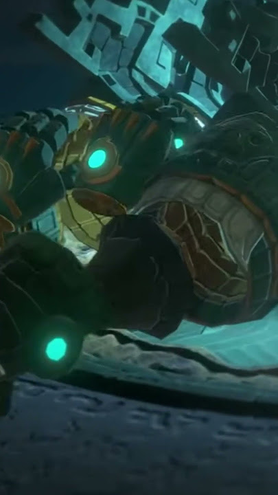 Fi's Theme in Age of Imprisonment?? #HyruleWarriors #AgeofImprisonment #Nintendo