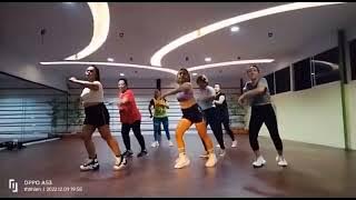 Tik Tok jangan Ganggu pacarku|| Dance Mix|| Dina D'mers|| Cardio Dance#dancefitness