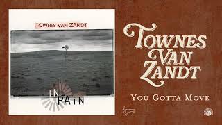 Townes Van Zandt - You Gotta Move (Official Audio)