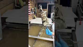 Custom hydrodipping #local #hunter #hunting #fyp
