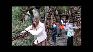 20191226日本四國自由行第一天大步危峽谷之蔓橋