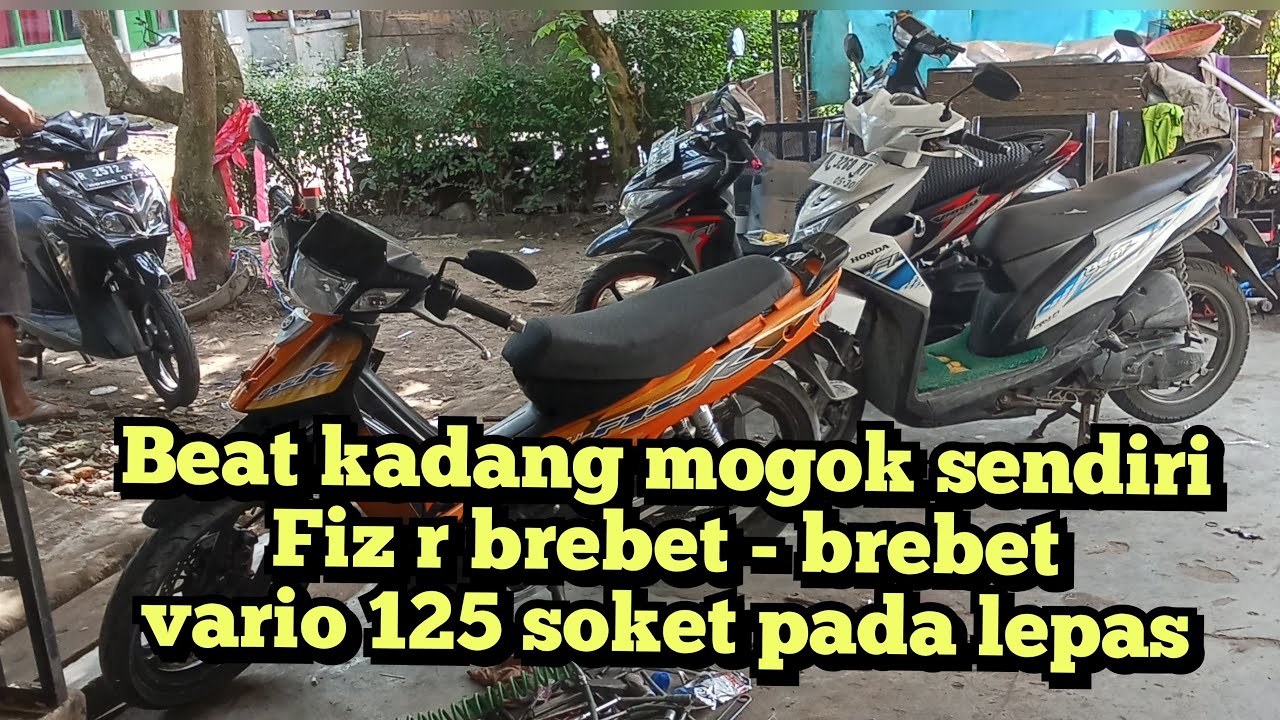 kerjaan sore hari ini ...