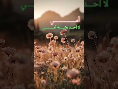 لوكان بيدي أن اختار وطني لاخترت قلب أ مي هناك أنام مطمئنا وأصحوا بسلام 