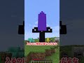 男子と女子で色んなネザーゲートを作るときの違い まいくら マインクラフト よろずや Shorts 男子と女子で色んなネザーゲートを作るときの違い まいくら マインクラフト よろずや Shorts