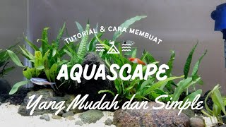 Cara Membuat Aquascape Yang Mudah dan Simple