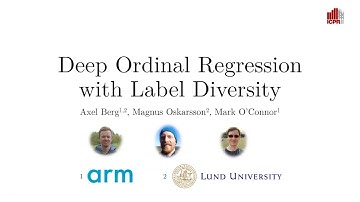 [ICPR2020] Deep Ordinal Regression with Label Diversity