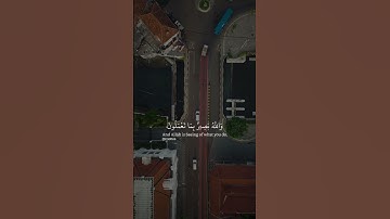 سورة الحجرات - ان الله يعلم غيب السموات والارض - حالات واتس