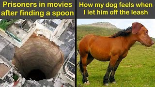 If Life’s a Joke, These Sarcastic Memes Are the Punchline | Humor Sweet
