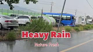 Rain sound. Heavy Rain today. Feeling better with rain snow at night. #nature #rain #subscibe