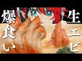 [ASMR/モッパン]ぶりぶり生赤海老1kg食べる音 咀嚼音/Raw Shrimp/Mukbang/Eating Sounds【龍ヶ崎リン / シュガリリ】