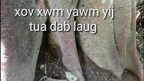 Xov​ xwm​ yawm yij tua dab laug  kev cuab qaib qus