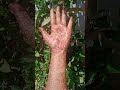 beautiful hand mendi design 🌿✨#shortsvideo #mendi #bridalmehndi