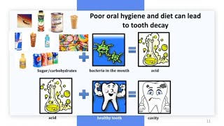 1 How Nutrition Affects Oral Health