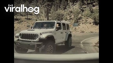 Tesla Camera Captures Apparent Hit and Run || ViralHog