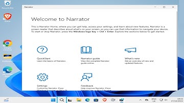 How To Hide Blue Box Around Active Item in Narrator on Windows